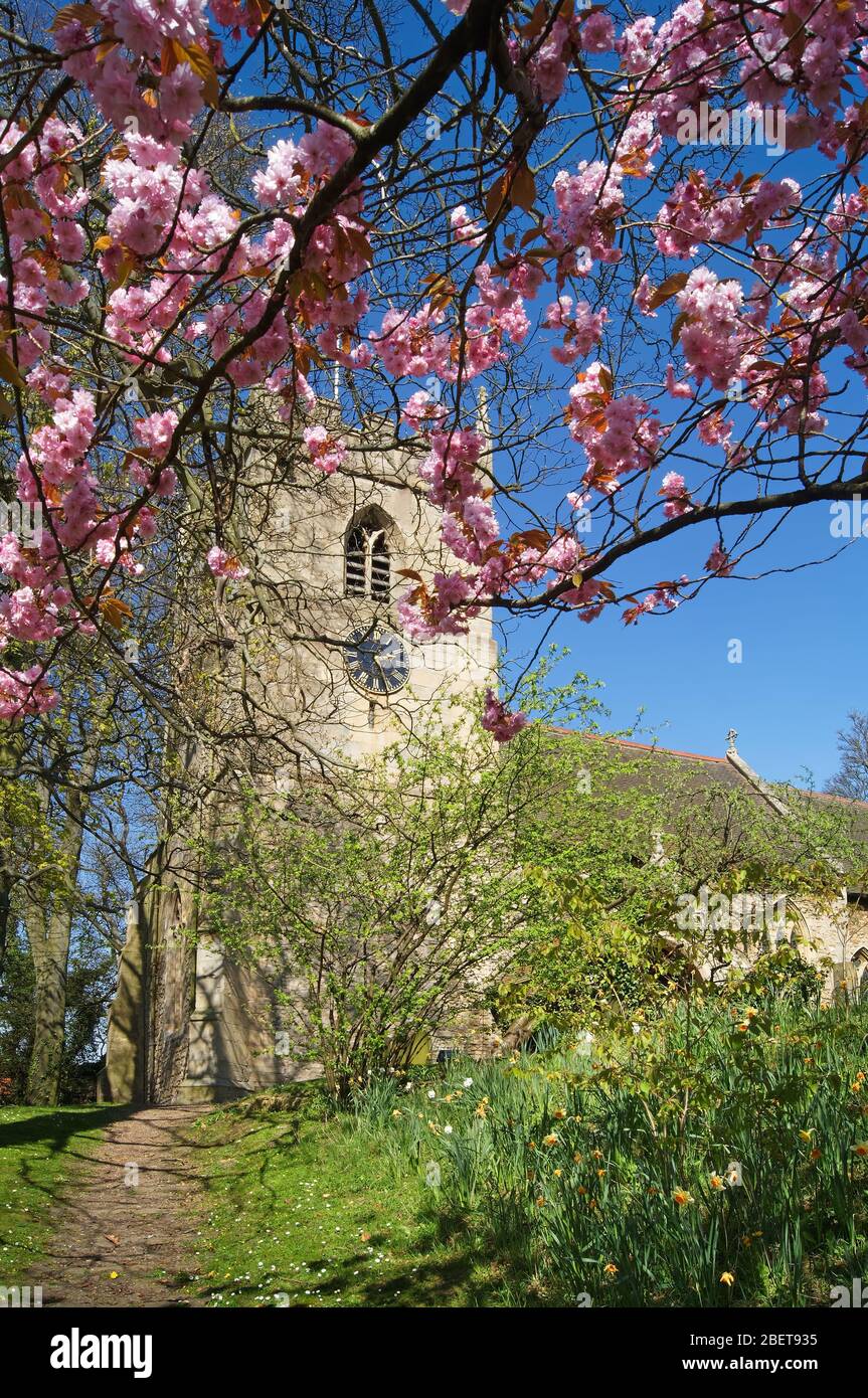 Royaume-Uni, Yorkshire du Sud, Doncaster, Hooton Pagnell, Église des Saints Banque D'Images