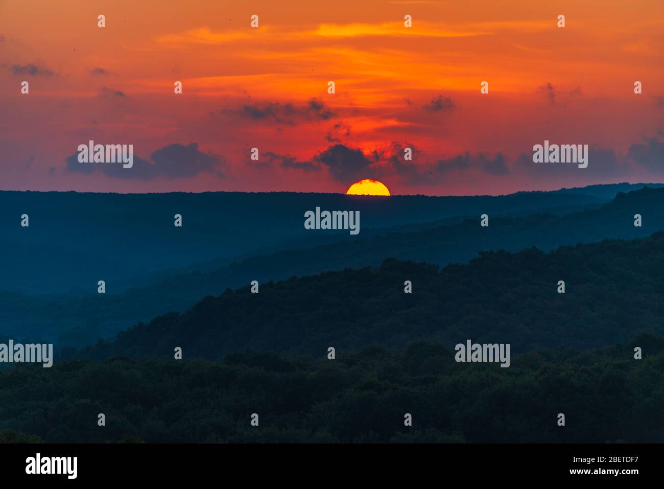 Vue à couper le souffle sur le soleil brûlant au-dessus du sapin doux des arbres dans la réserve naturelle de Strandzha, près de Sinemorets, Bulgarie Banque D'Images