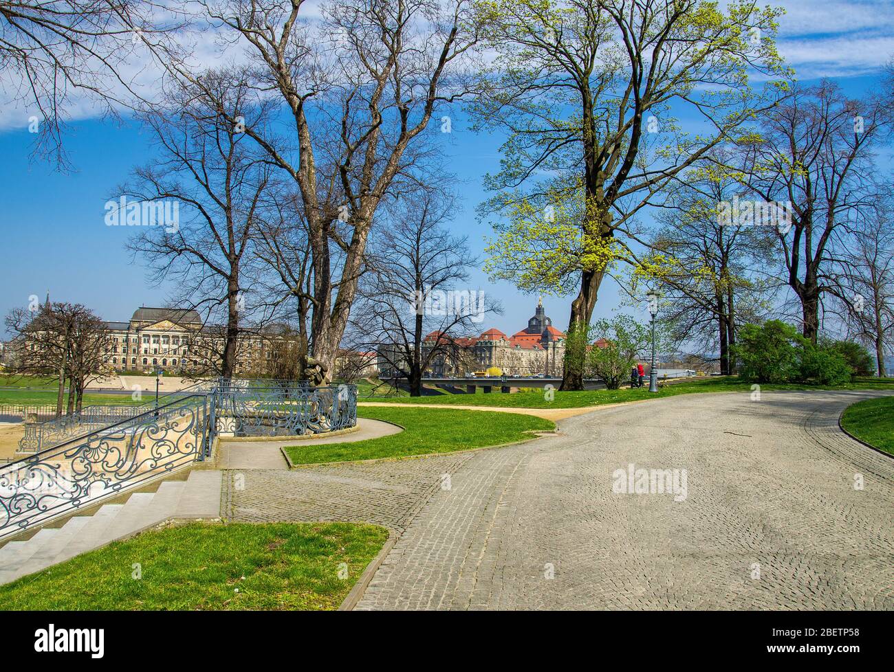 Parc de la ville (Bruhlschen Garten) avec des arbres verts devant Sachsische Staatskanzlei, Dresde, Allemagne Banque D'Images