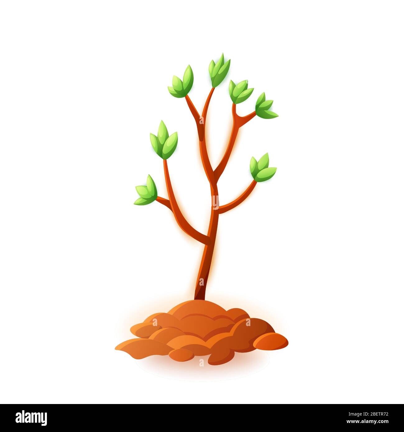 Illustration vectorielle de jeune arbre isolée sur fond blanc. Illustration de Vecteur