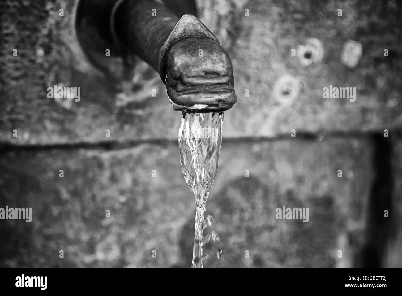 Bec avec de l'eau, refroidir et boire Banque D'Images