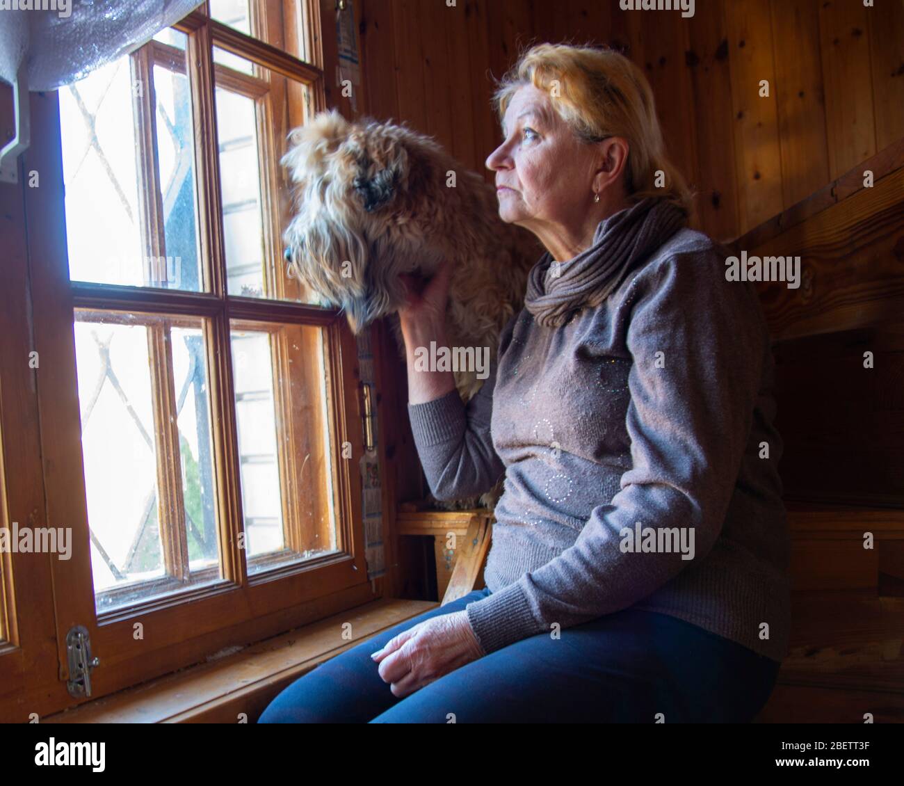 Une femme triste âgée et un chien s'assoient sur les marches et regardent la fenêtre. Banque D'Images