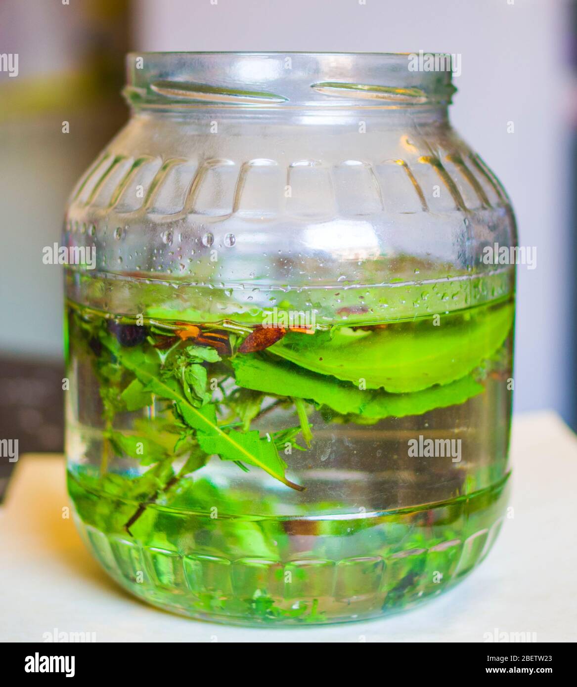 herbes et épices pour faire du macérer dans l'alcool, l'artisan produit de la liqueur avec des herbes et des épices aromatiques à partir d'une recette traditionnelle ancienne Banque D'Images herbes et épices pour faire du macérer dans l'alcool, l'artisan produit de la liqueur avec des herbes et des épices aromatiques à partir d'une recette traditionnelle ancienne Banque D'Images