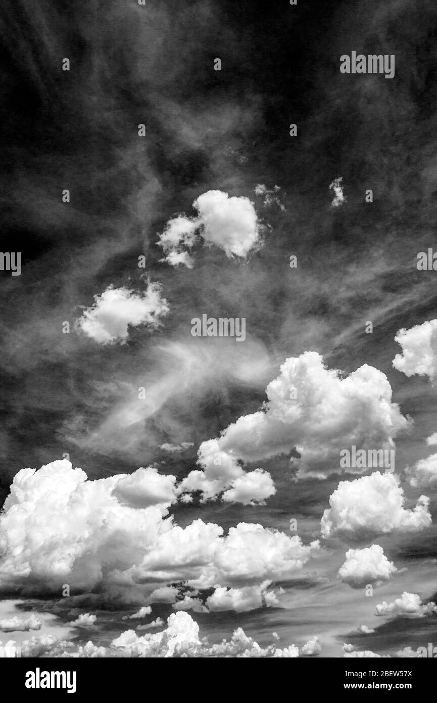 Vue en noir et blanc des magnifiques nuages de cumulus contre le ciel bleu azure ; sud-ouest des États-Unis Banque D'Images