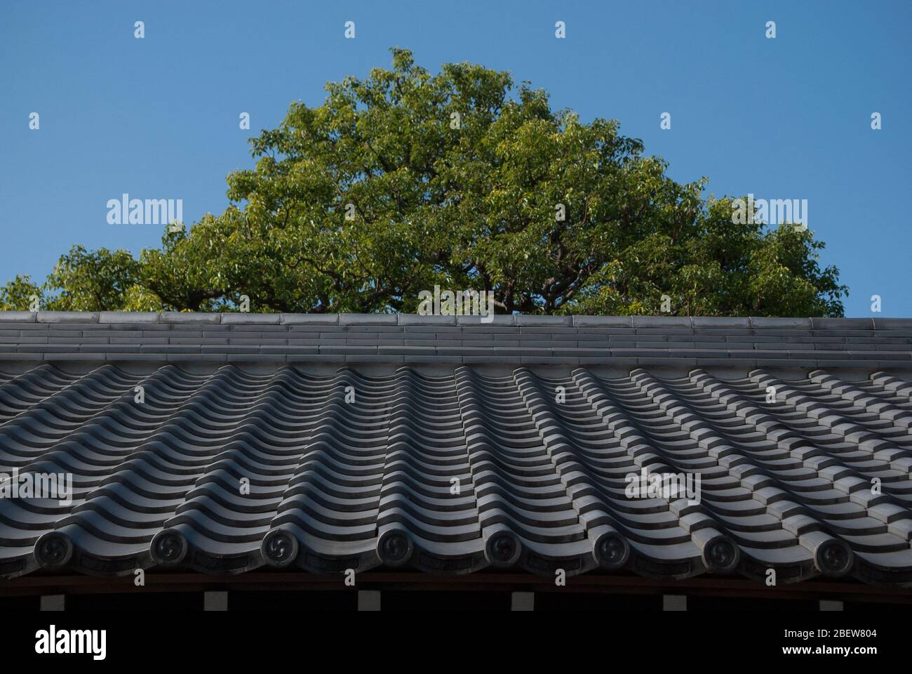 Temple Sanjūsangen-dō (trente-trois ken), Higashiyama, Kyoto, Japon. Créé 1164 Banque D'Images