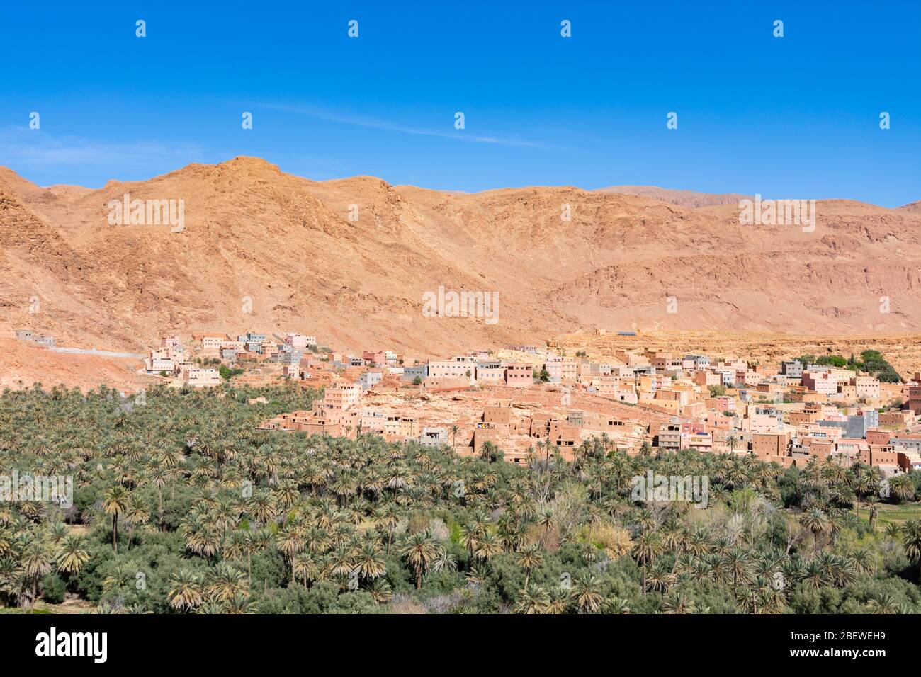 Oasis de Tinerhir près de la gorge de Todra au Maroc Banque D'Images