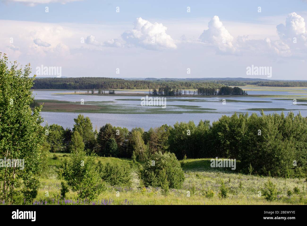 Vue sur les lacs Braslav. Parc national du Bélarus. Voyage en Biélorussie Banque D'Images