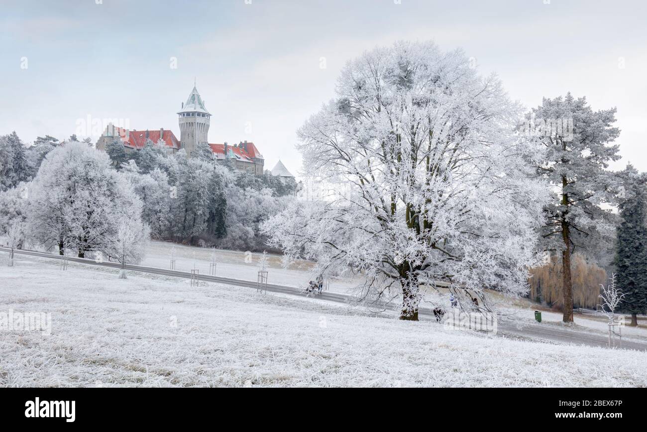 Smolenice château d'hiver avec landcape, la Slovaquie. Banque D'Images