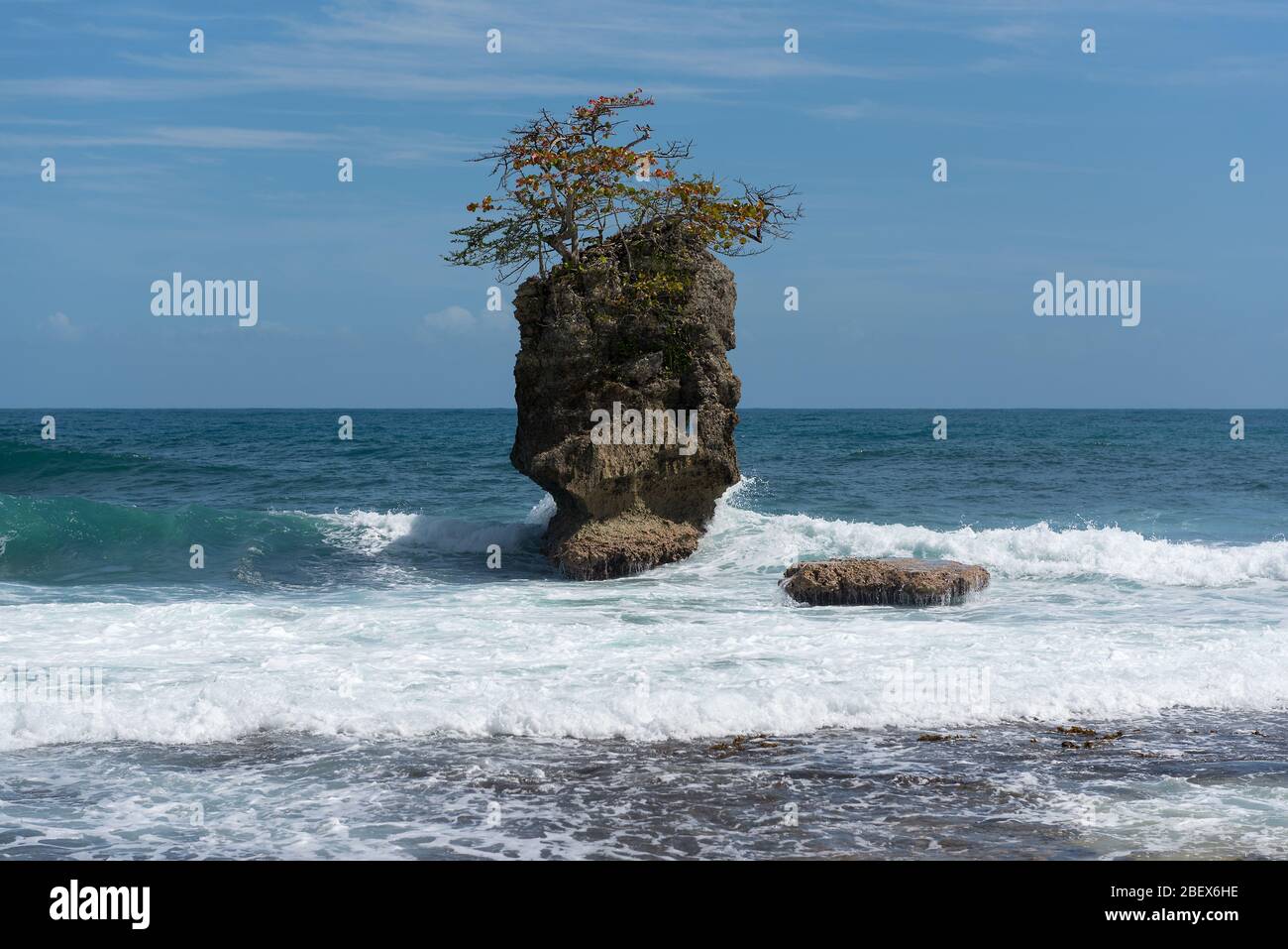 Île Rocky avec arbre sur la côte de Manzanillo, Costa Rica Banque D'Images