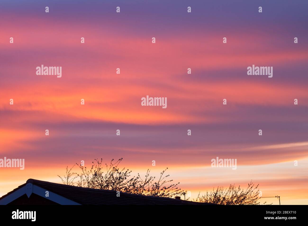 Un coucher de soleil printanier en avril avec des tons d'orange, de violet, de bleu et de gris avec la silhouette d'un toit et des branches d'arbres au premier plan. Banque D'Images