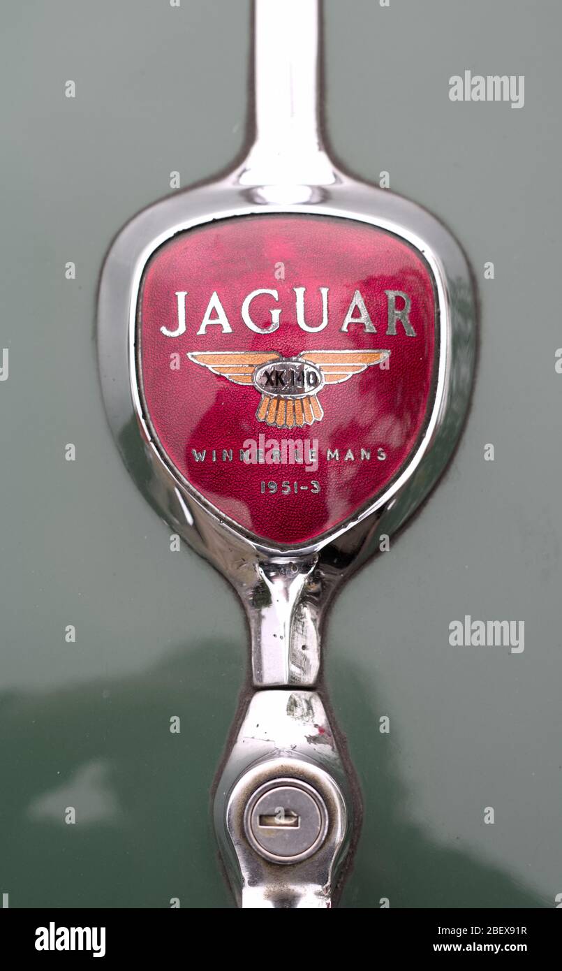 Badge Jaguar sur une voiture verte classique Banque D'Images