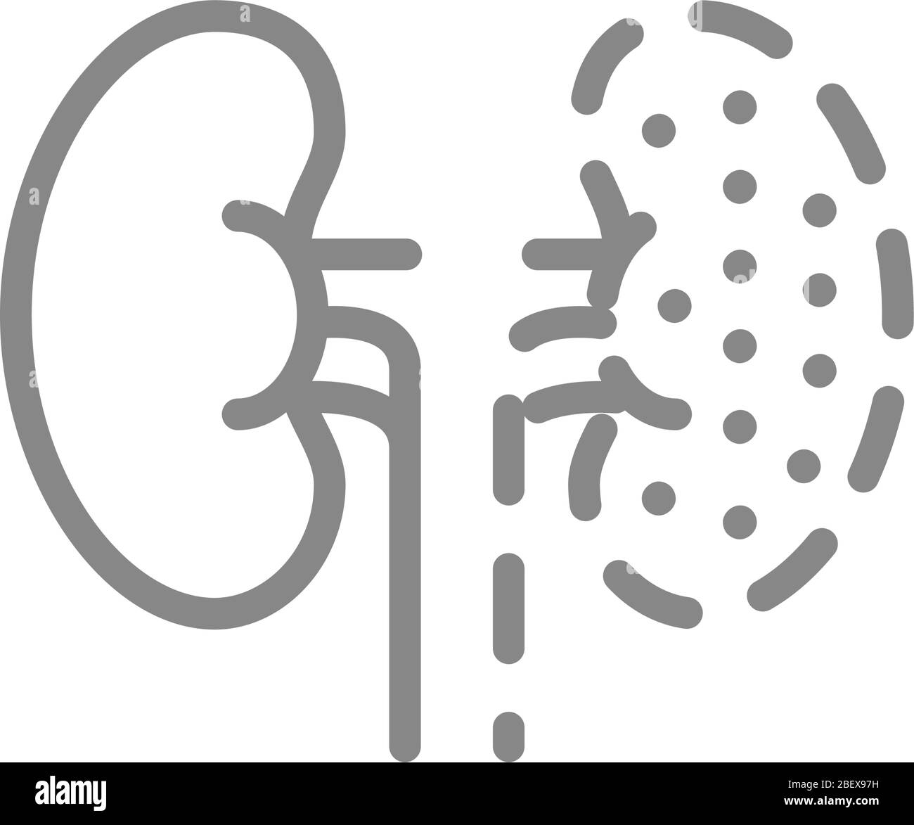 Icône de ligne d'amputation des reins. Néphrectomie, un symbole de rein Illustration de Vecteur