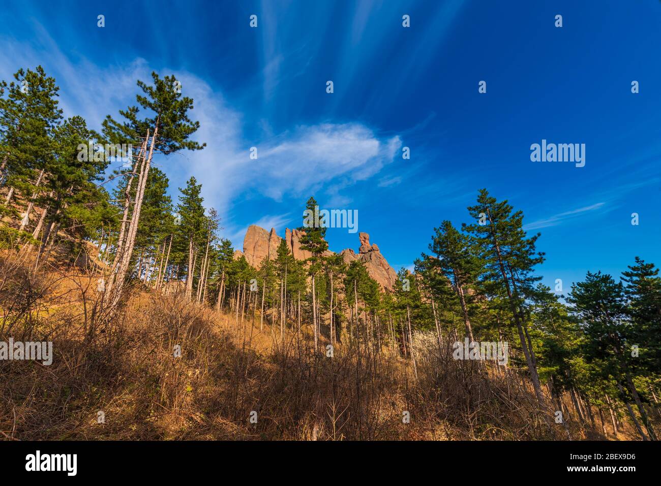 Vue panoramique sur la magnifique forêt qui entoure la forteresse historique de Belogradchik, la Bulgarie du Nord-Ouest, les montagnes des Balkans Banque D'Images