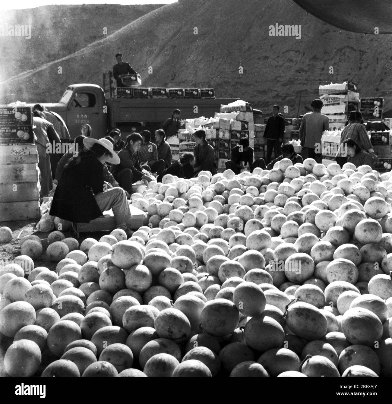 En août 1960, Lanzhou Melon a été exporté pour emballage Banque D'Images