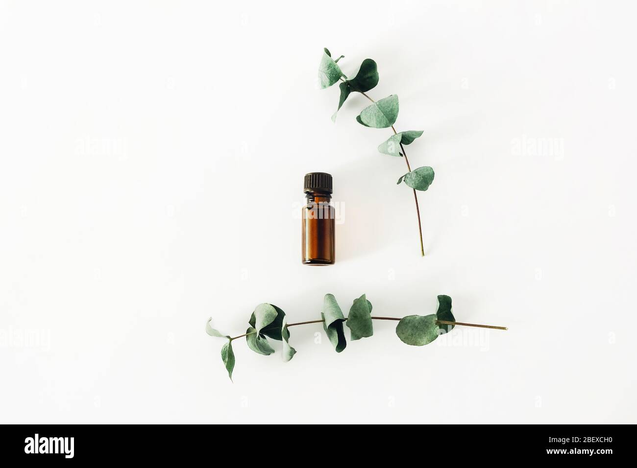 Une bouteille d'huile cosmétique ou essentielle parfumée sur fond blanc entourée de branches d'eucalyptus. Banque D'Images