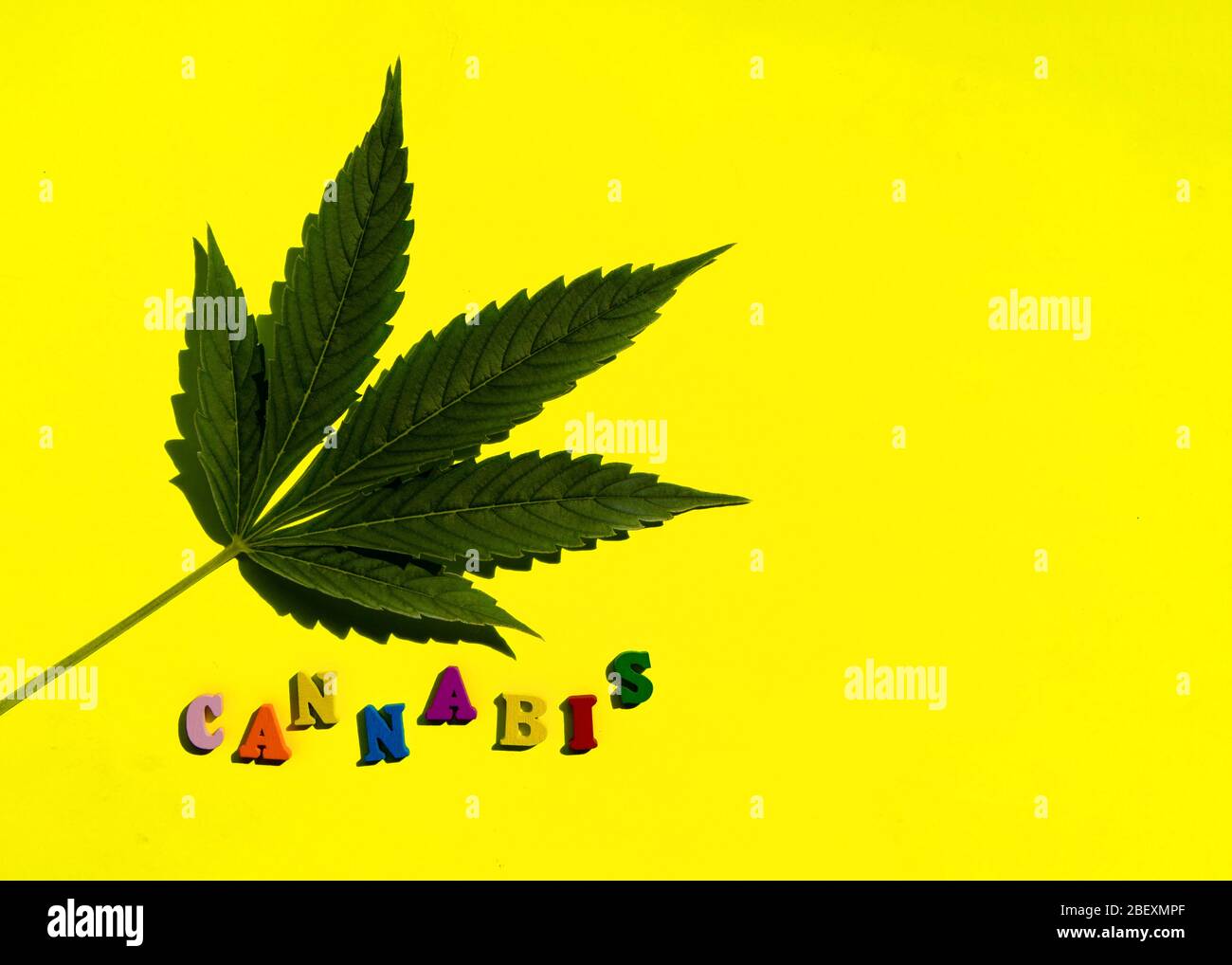 Funny Marijuana Hemp Cannabis Banque D Image Et Photos Alamy