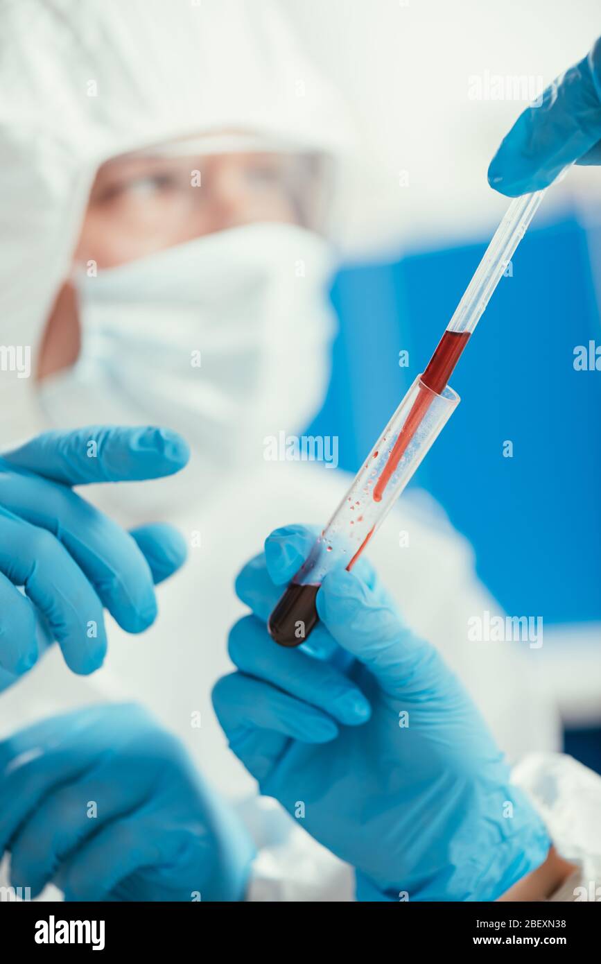 vue rognée du biochimiste qui tient la pipette et le tube à essai avec un échantillon de sang près d'un collègue Banque D'Images