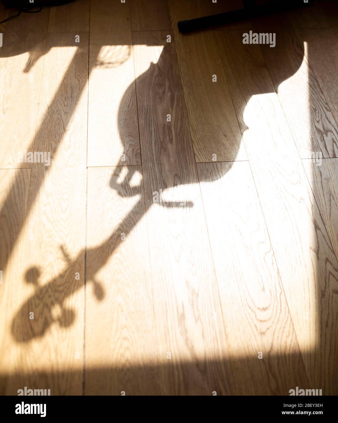 Ombre d'un violoncelle sur un plancher en bois Banque D'Images