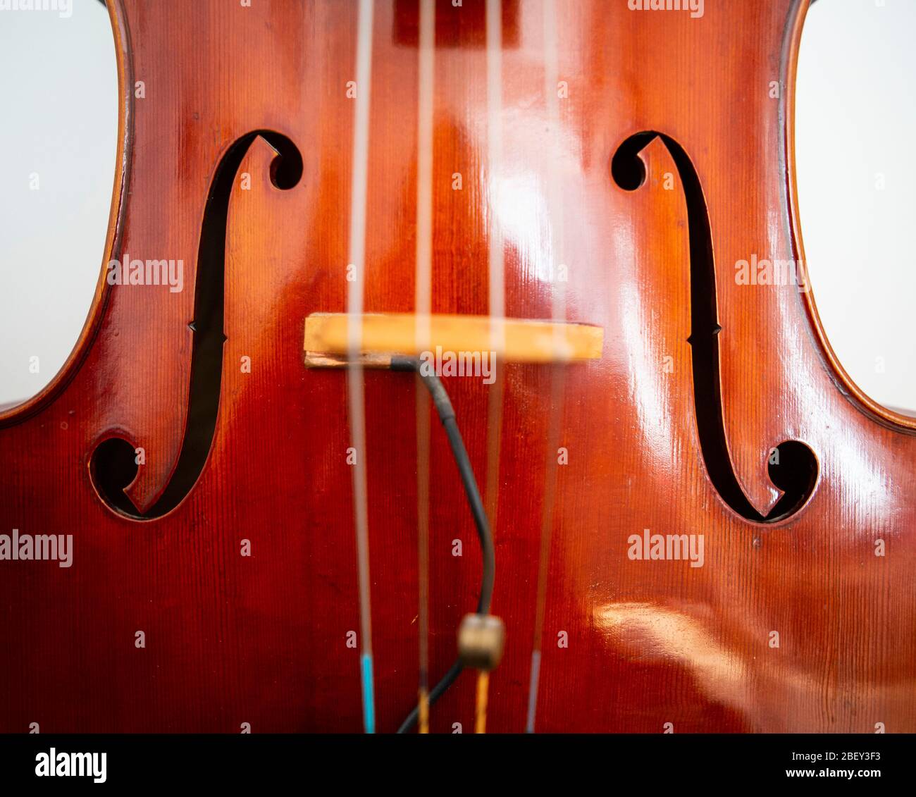 Détail violoncelle gros plan photographie Banque D'Images