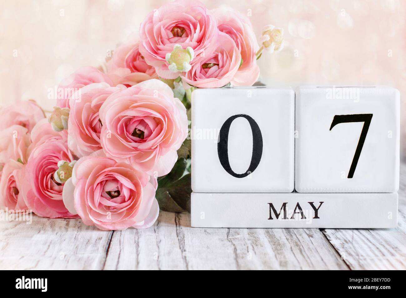 Blocs de calendrier en bois blanc générique avec la date du 7 mai et fleurs roses de ranunculus sur une table en bois. Mise au point sélective avec fond flou. Banque D'Images