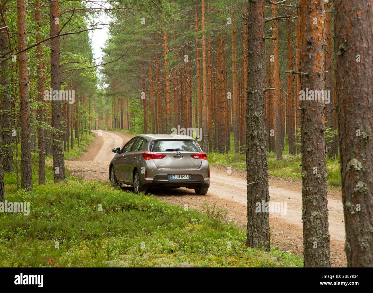 Toyota Auris hybride modèle Hatchback 2013 stationné sur une route forestière à conifères / heath taïga forêt , Finlande Banque D'Images