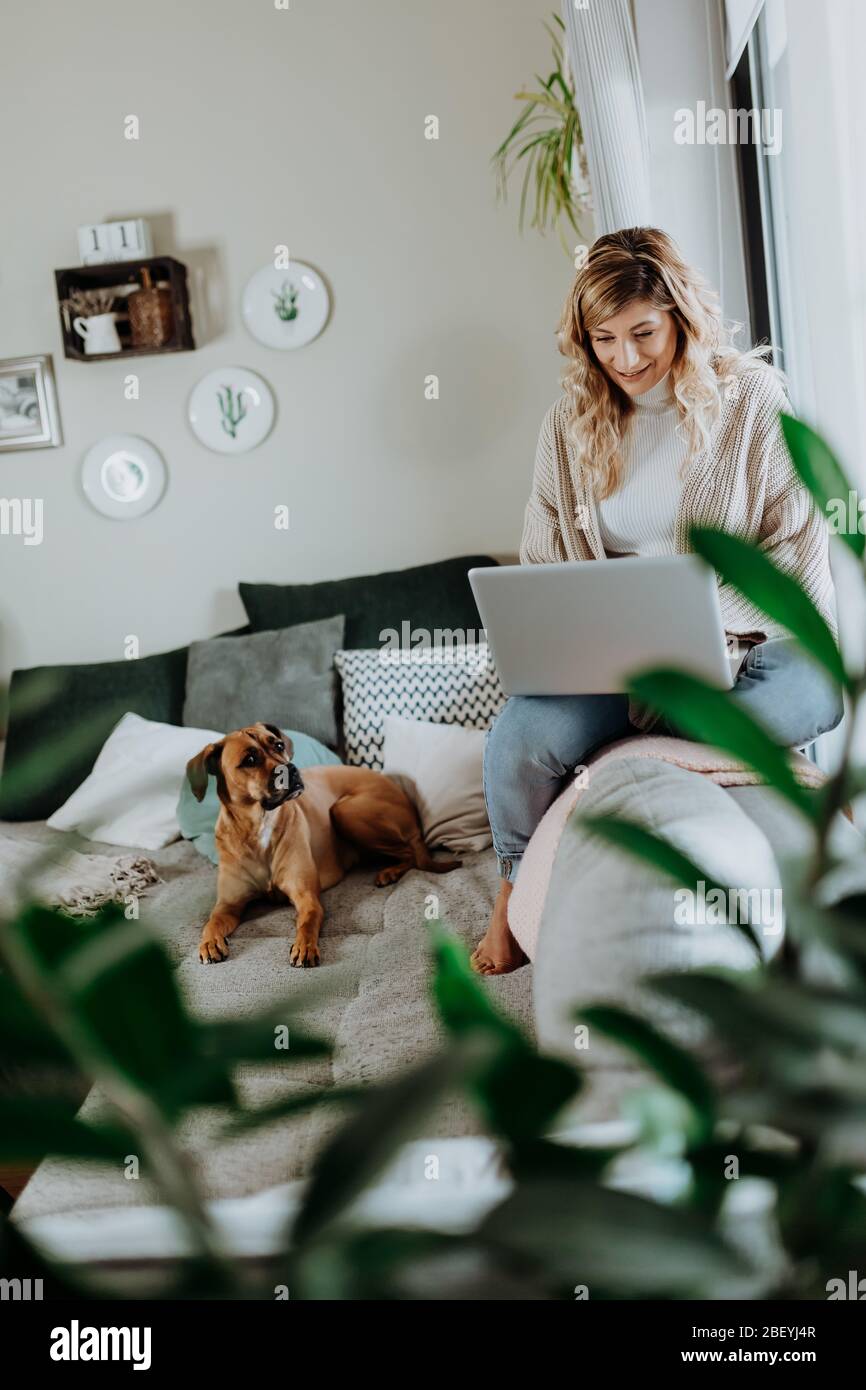 Femme d'affaires travaillant sur un ordinateur portable assis à la maison avec un chien et gérant son entreprise par le biais de son bureau à domicile pendant Coronavirus ou Covid-19 Banque D'Images