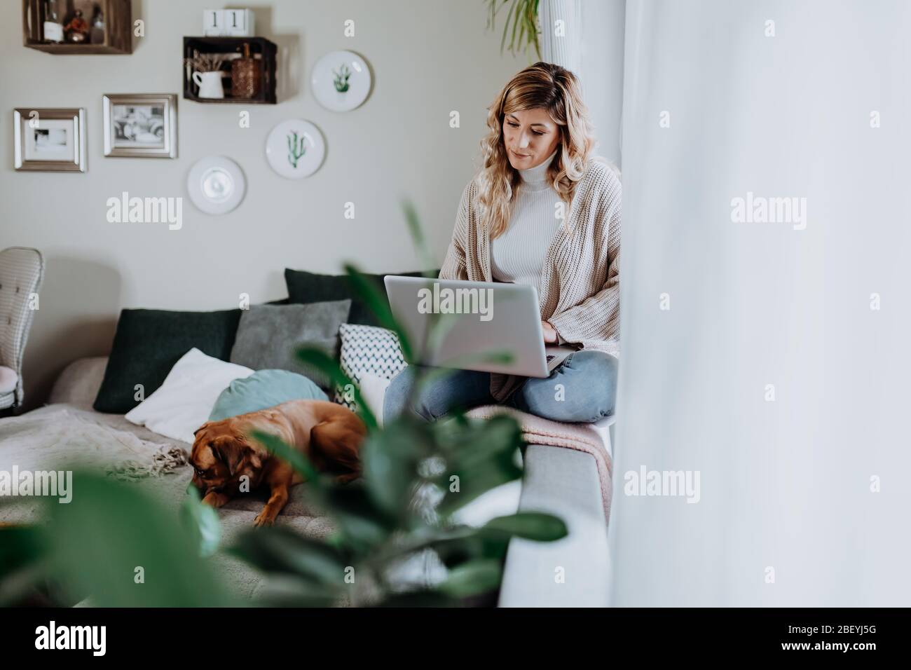Femme d'affaires travaillant sur un ordinateur portable assis à la maison avec un chien et gérant son entreprise par le biais de son bureau à domicile pendant Coronavirus ou Covid-19 Banque D'Images
