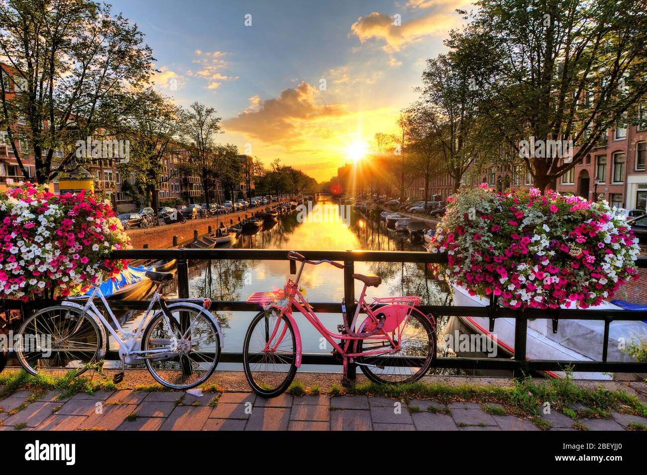 Magnifique lever de soleil sur Amsterdam, pays-Bas, avec fleurs et vélos sur le pont au printemps Banque D'Images