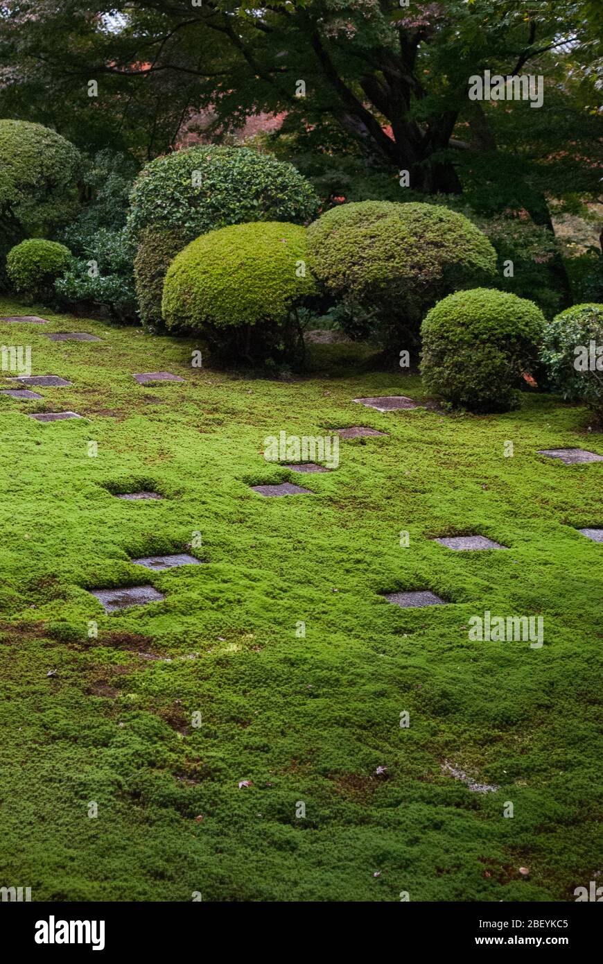 Moderne Zen Moss Garden Temple Tōfuku-ji du XVe siècle, 15-Chōme 778 Honmachi, Higashiyama-ku, Kyōto, Préfecture de Kyoto par Mirei Shigelori Banque D'Images Moderne Zen Moss Garden Temple Tōfuku-ji du XVe siècle, 15-Chōme 778 Honmachi, Higashiyama-ku, Kyōto, Préfecture de Kyoto par Mirei Shigelori Banque D'Images