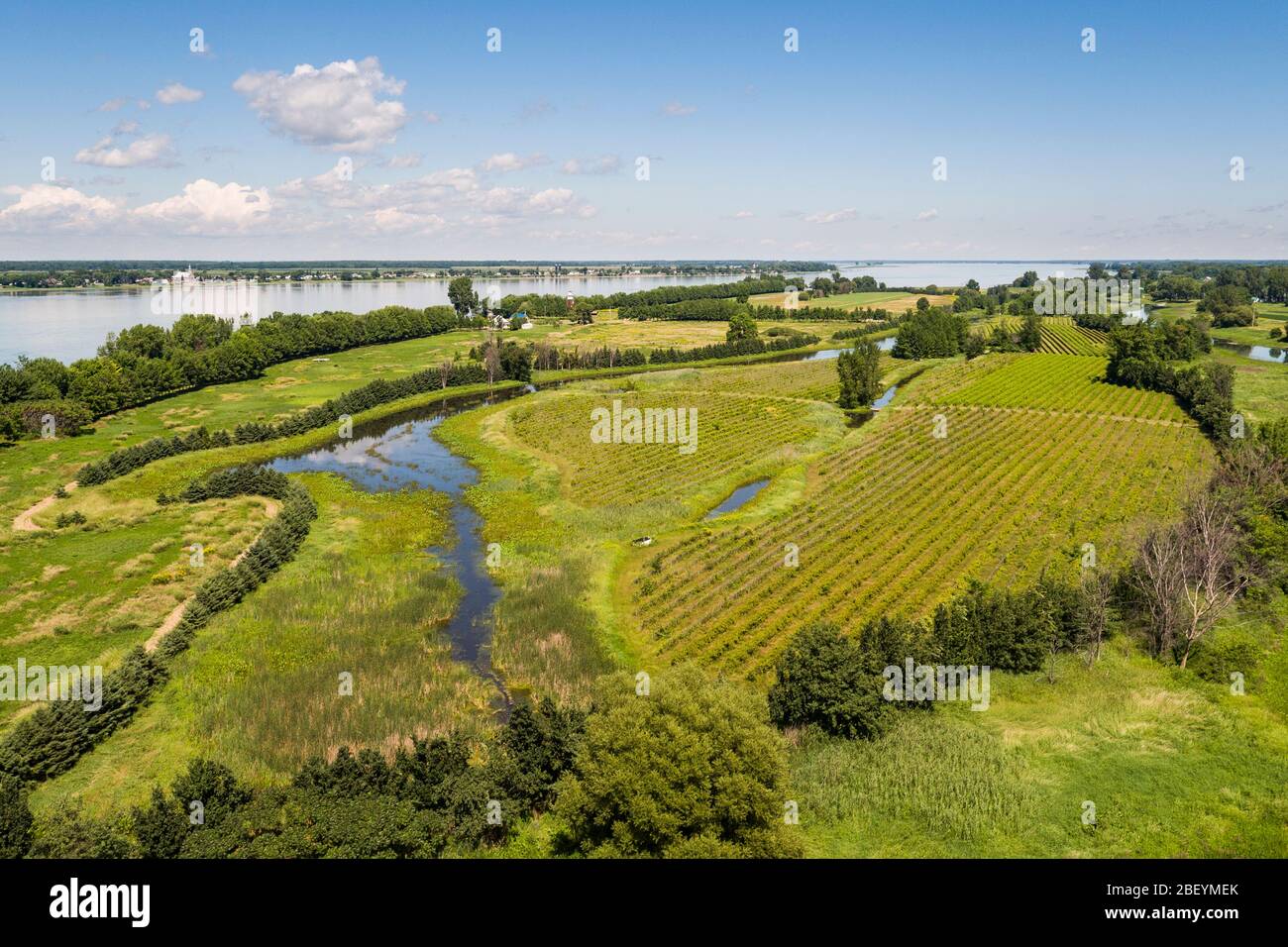 Vue aérienne des terres agricoles rurales le long du fleuve Saint-Laurent Banque D'Images