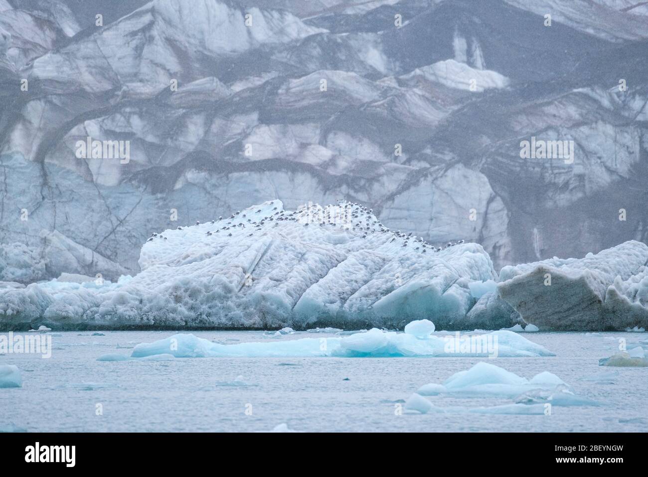 Svalbard, Norvège. Banque D'Images