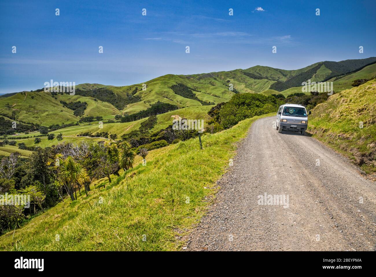 Moehau Range Hills, Port Jackson Road, près de Port Jackson, péninsule de Coromandel, région de Waikato, Île du Nord, Nouvelle-Zélande Banque D'Images