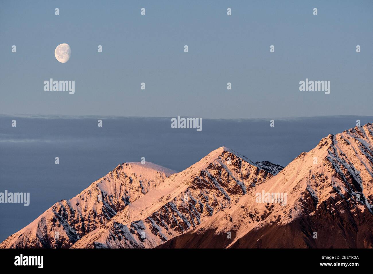 Svalbard, Norvège. Banque D'Images