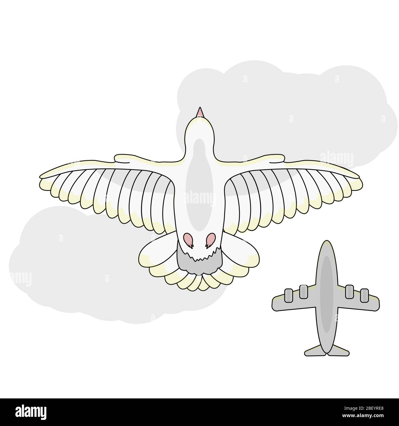 dessin animé blanc colombe vue de dessous voler dans le ciel contre un fond de nuages et un avion. fond blanc isolé stock vecteur illustration Illustration de Vecteur