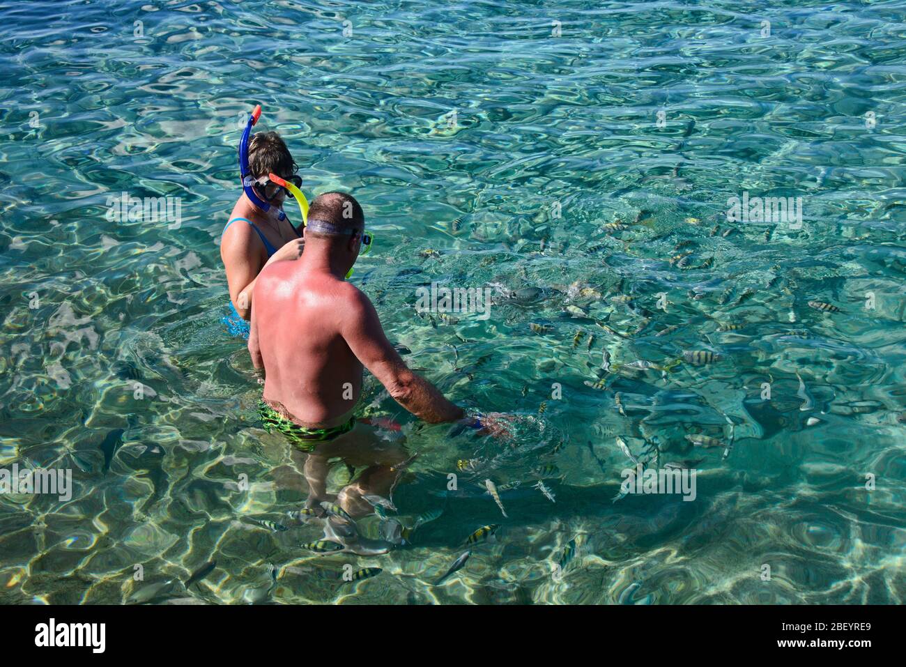 Plongée libre à Caleta Buena, Playa Giron, Cuba Banque D'Images