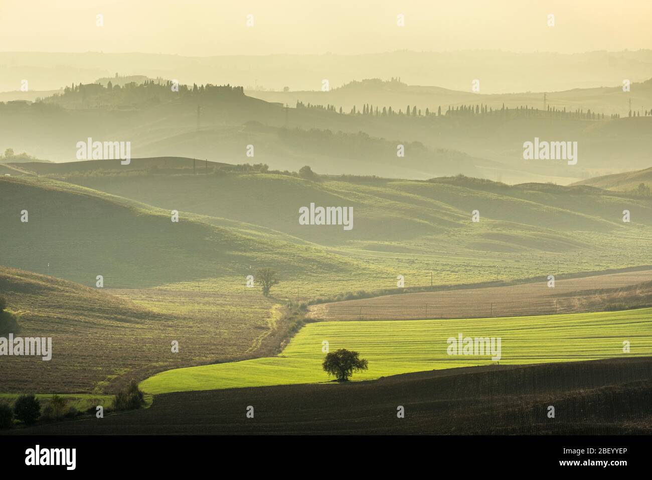 Sienne, Toscane, Italie Banque D'Images