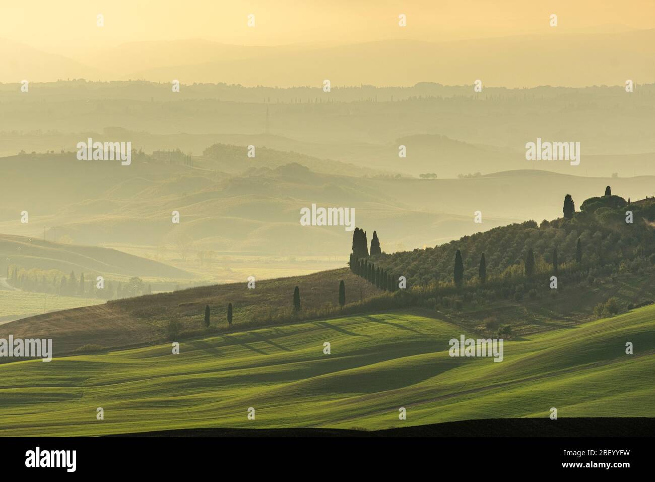Sienne, Toscane, Italie Banque D'Images