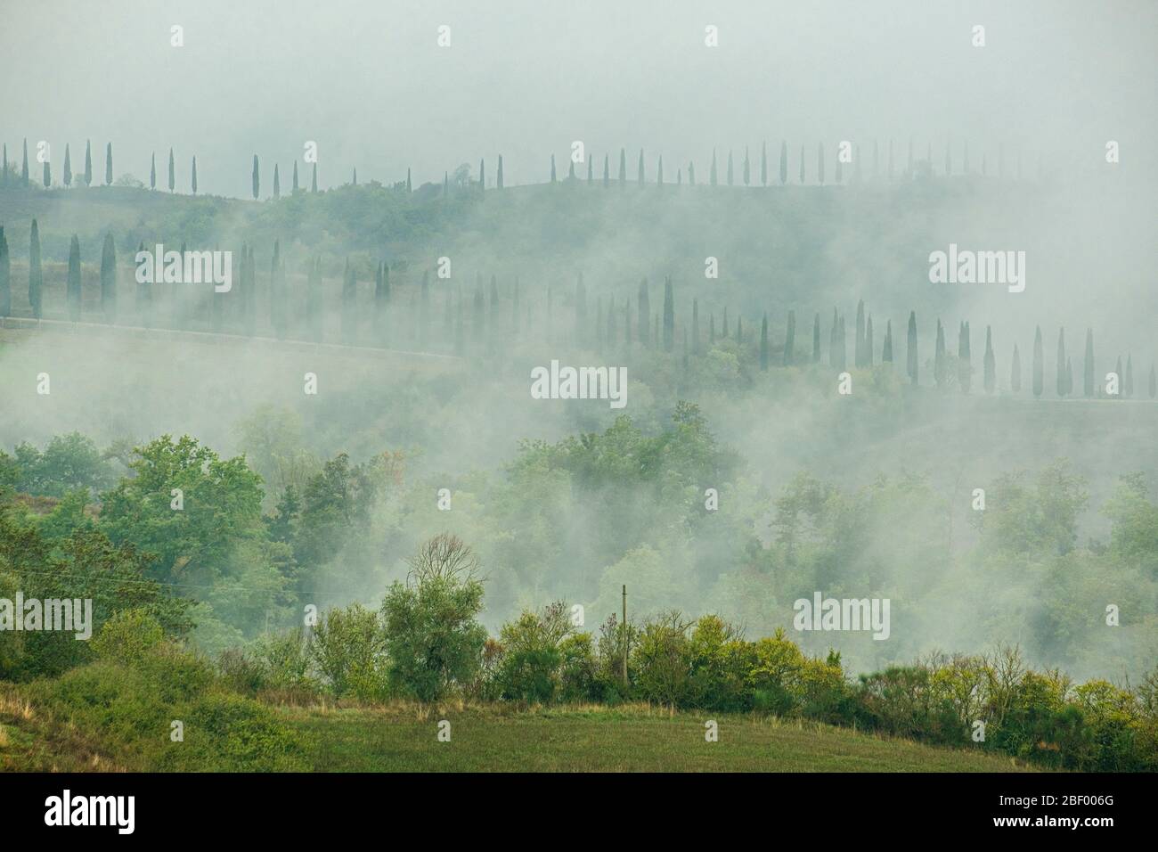Sienne, Toscane, Italie Banque D'Images