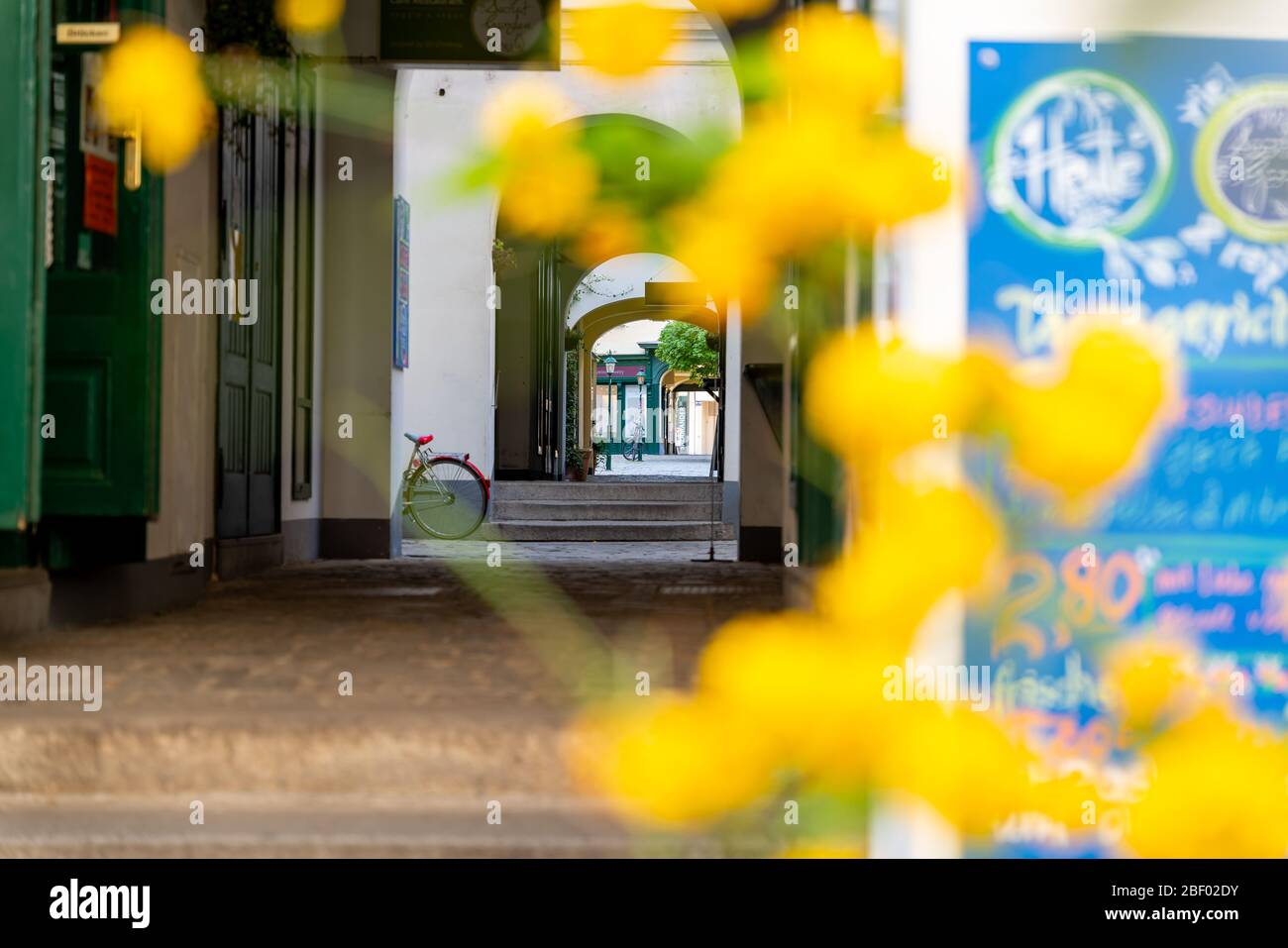 Une ancienne maison de passage viennoise une ancienne maison de passage viennoise avec des fleurs en premier plan Banque D'Images