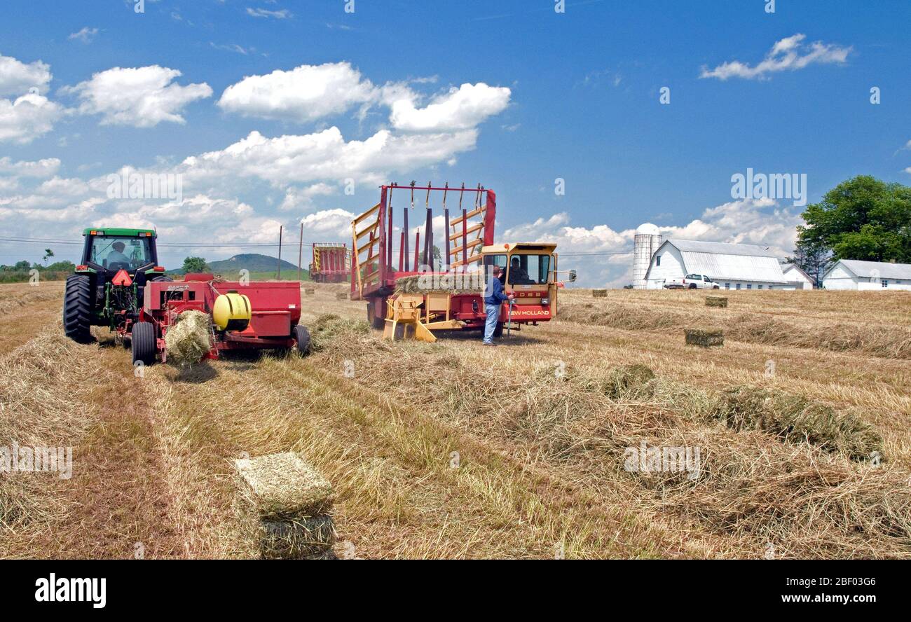 Tracteur John Deer dans un domaine où les agriculteurs font des bottes de foin carré Banque D'Images