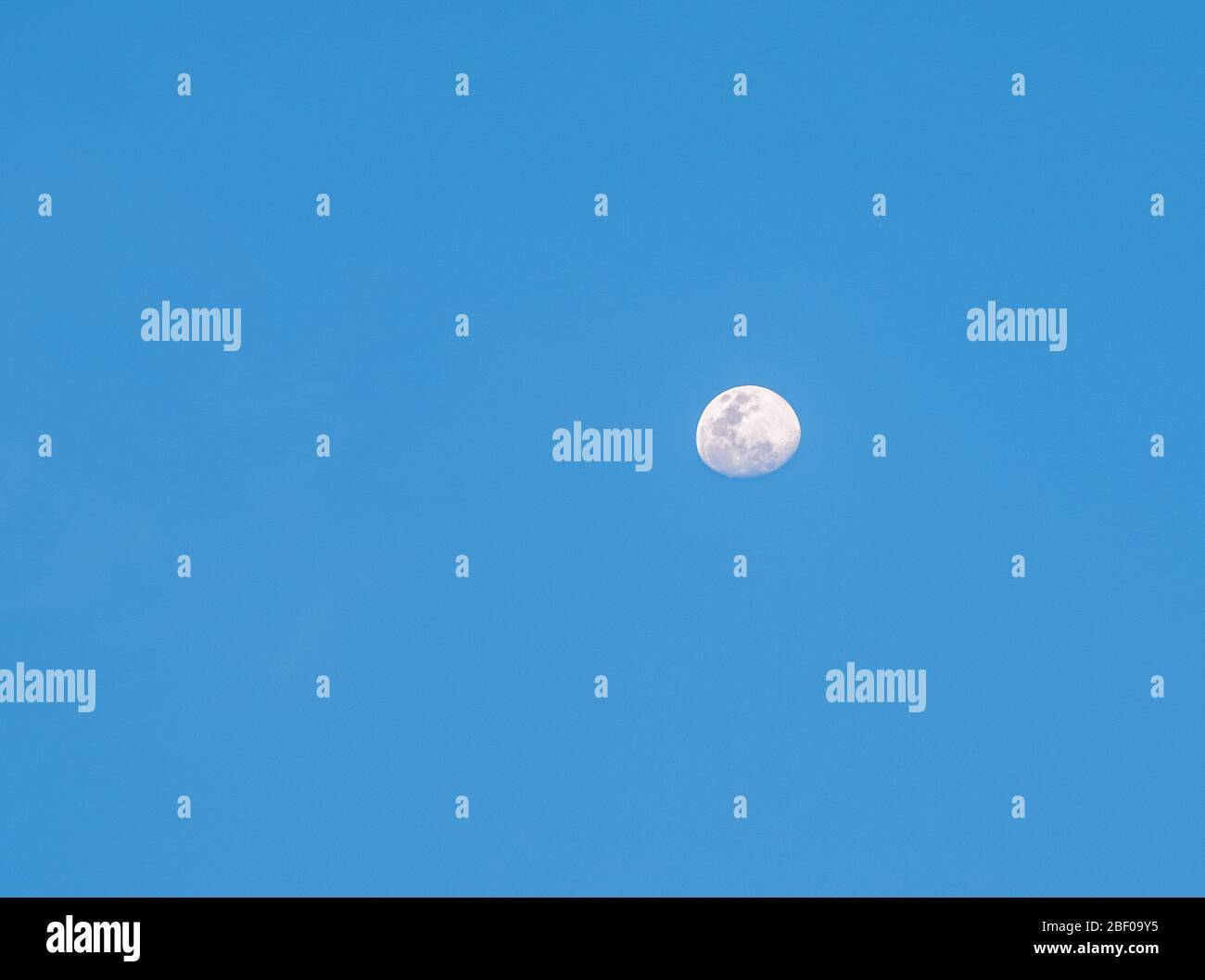 Pleine lune dans le ciel bleu clair de l'heure du soir. Banque D'Images