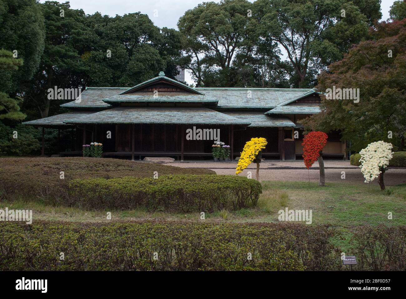 Vieux château d'Edo Palais impérial de Tokyo, quartier de Chiyoda, Tokyo, Japon Banque D'Images