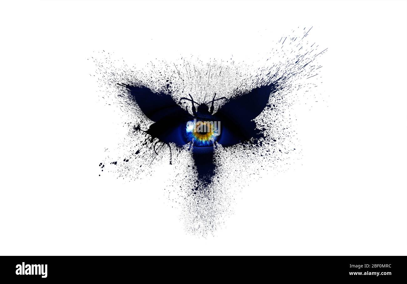 Belle silhouette d'un papillon dans des couleurs bleu foncé avec grand oeil humain multicolore au centre du papillon avec des taches de peinture, des splatters Banque D'Images