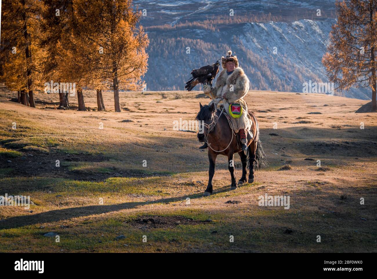 Chasseur d'aigles mongol, le kazakh fait du cheval avec un aigle formé, province de Bayan-Olgii, Mongolie Banque D'Images
