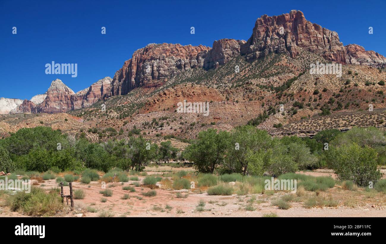 Bridge Mountain, The Watchman et Johnson Mountain dans le parc national de Zion, Utah, États-Unis. Banque D'Images