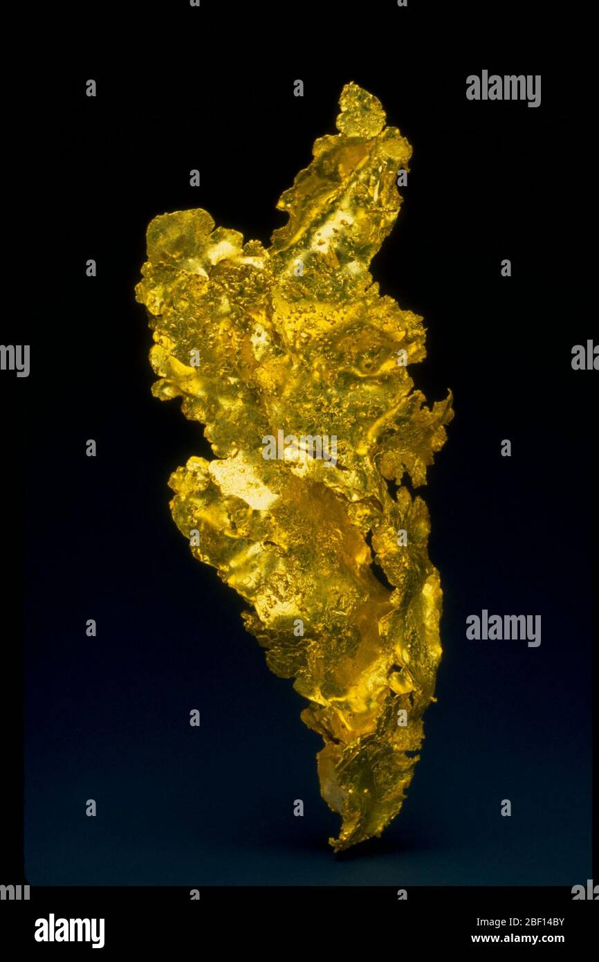 Photo de plaques plates en or (145645) de la Collection nationale de minéraux Banque D'Images