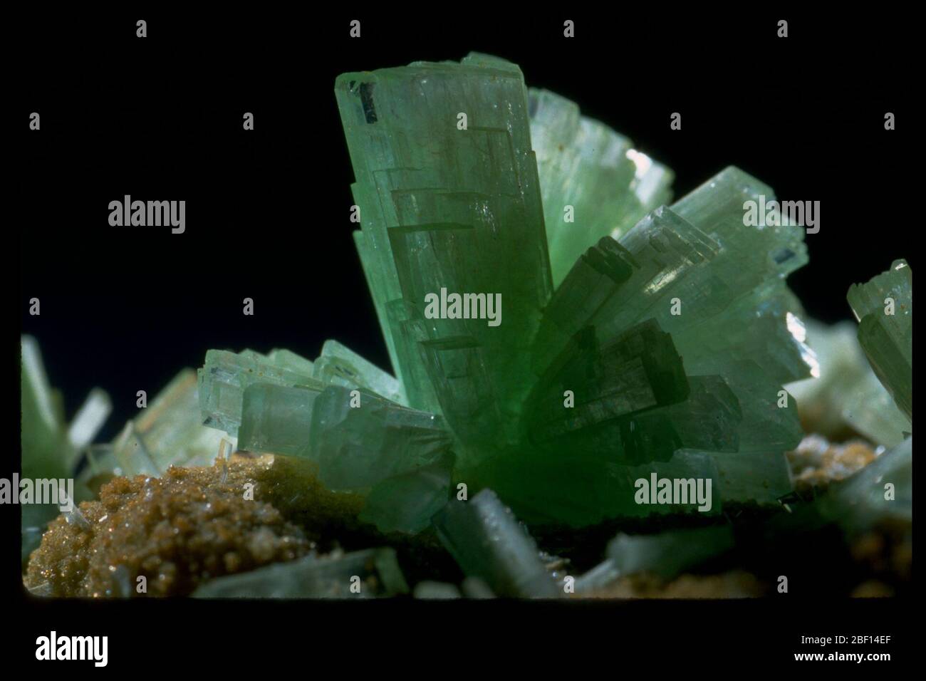 Photo de la paranauxite (103868) de la Collection nationale de minéraux Banque D'Images