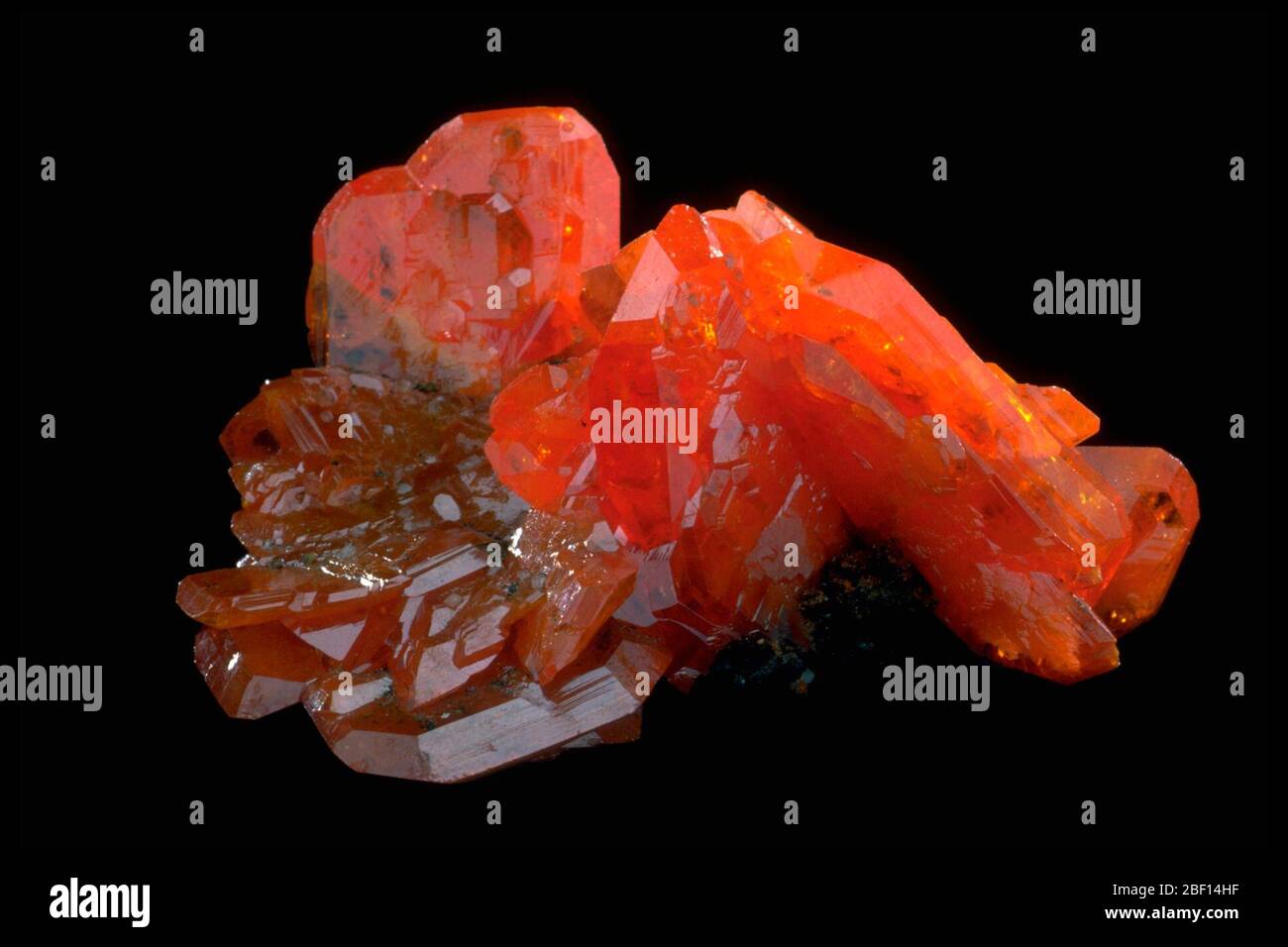 Photo de la wulfenite (117579) de la Collection nationale de minéraux Banque D'Images