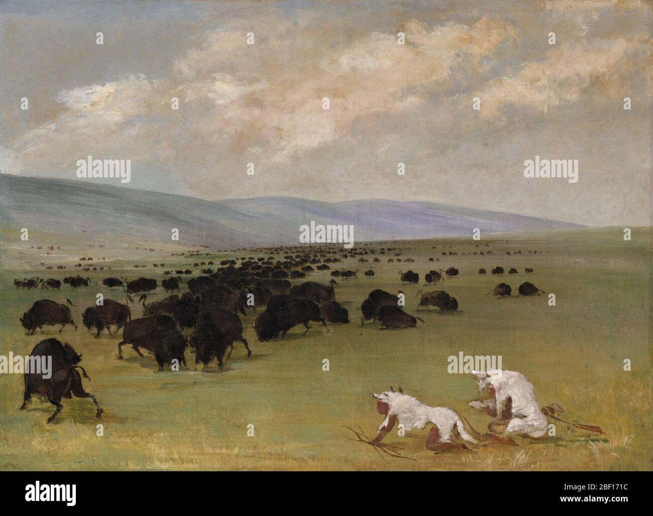 Catlin et son guide indien approchant Buffalo sous White Wolf Skins. George Catlin et le guide indien, couverts de peaux de loup et d'armes à l'état Prêt, se sont rendus sur un troupeau de buffles. Banque D'Images