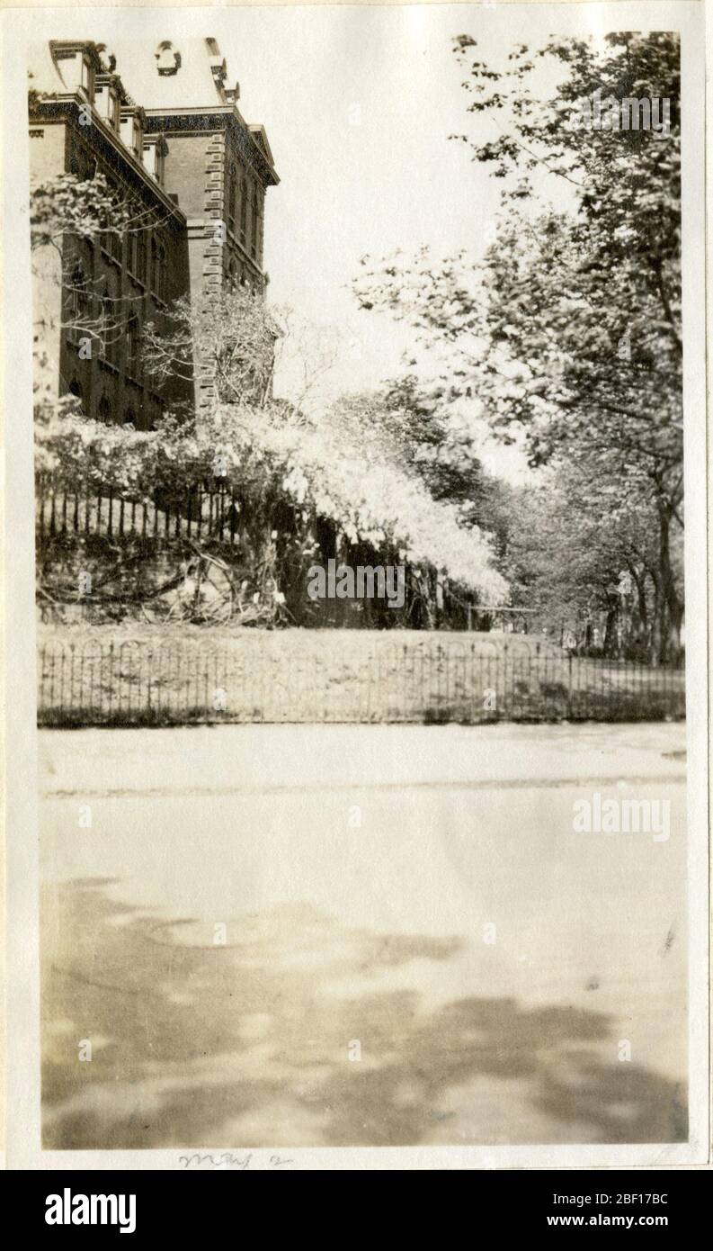Construire des arbres et des fleurs à Washington DC. Smithsonian institution Archives, Record Unit 7355, Martin A. Gruber Photothèque, image No SIA2010-2127Smithsonian institution Archives, Capital Gallery, Suite 3000, MRC 507; 600 Maryland Avenue, SW; Washington, DC 20024-2520 Banque D'Images